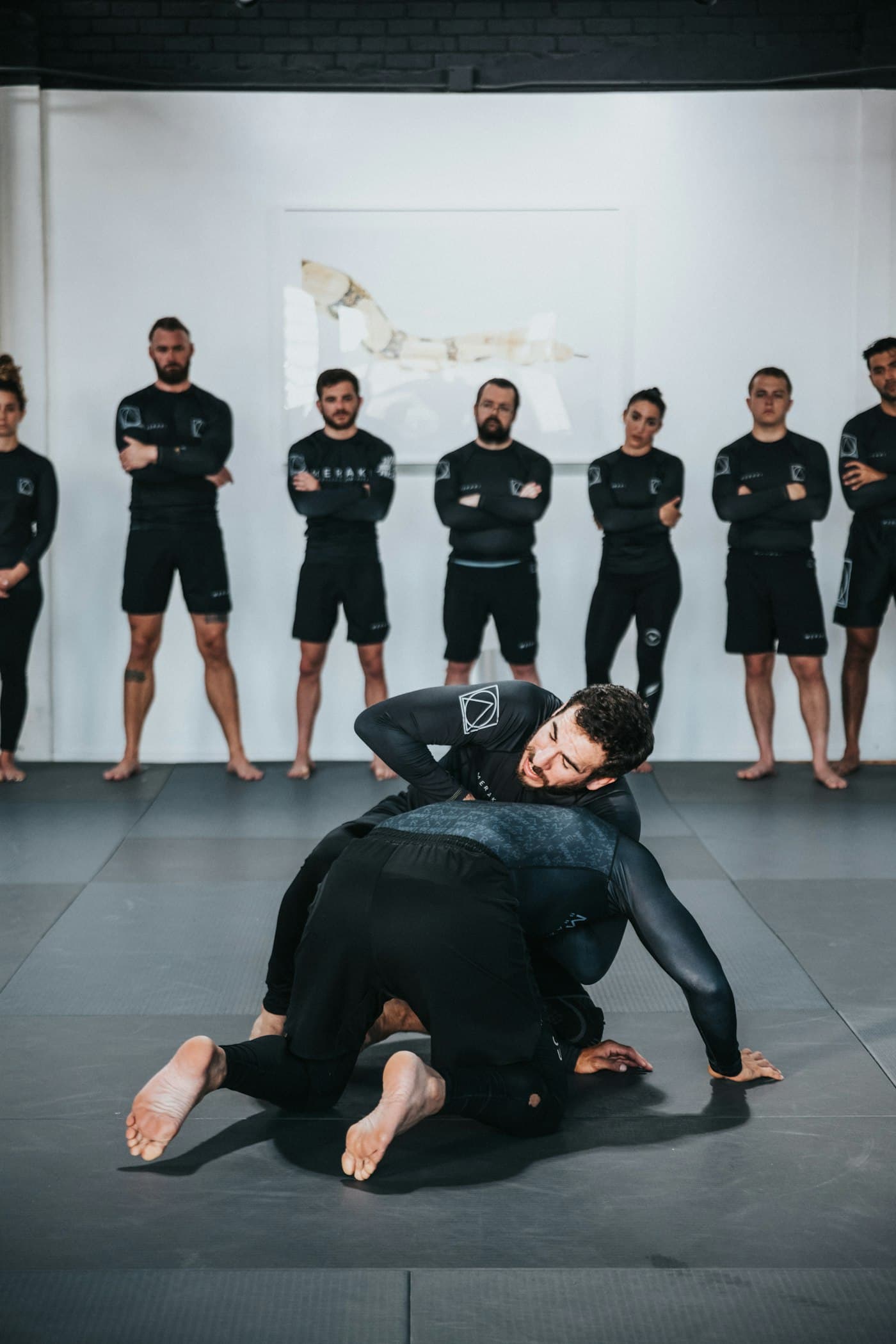 BJJ